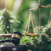 Commerce Clause Bid to Block Maryland Licensing Lottery Fails