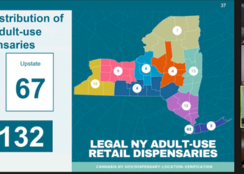 New York Cannabis Control Board meeting, June 11, 2024