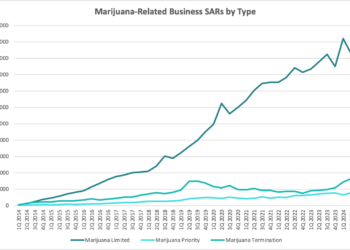 Marijuana-Related Business SARs by Type