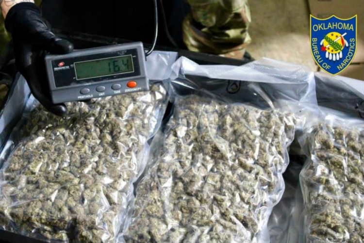 Oklahoma authorities continue to raid dispensaries and grow sites.