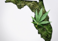 Florida Medical Cannabis
