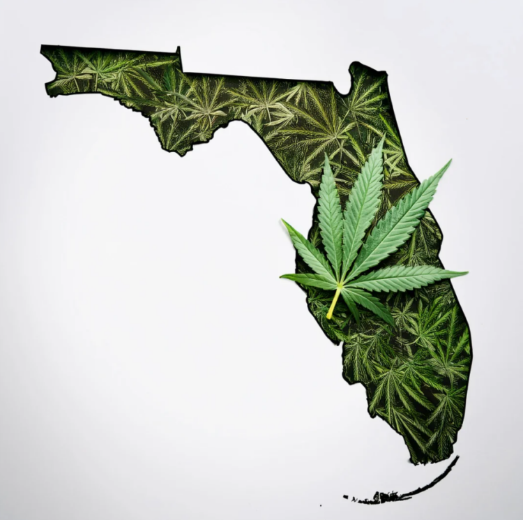 Florida Medical Cannabis