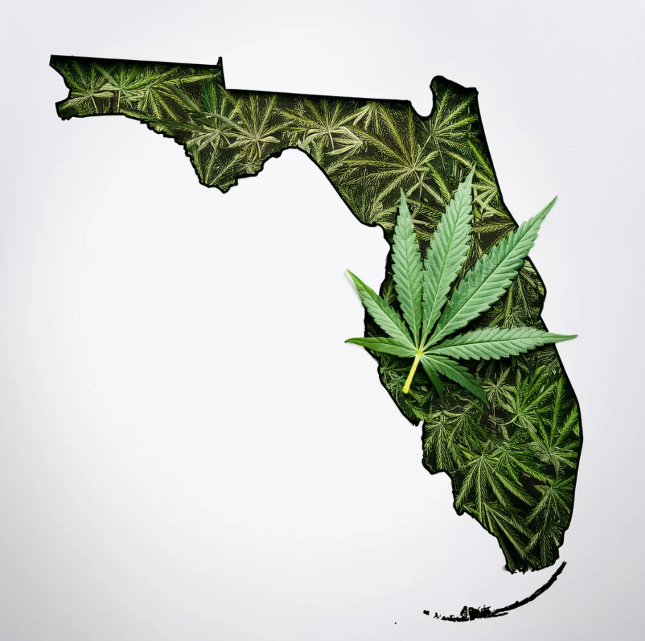 Florida Medical Cannabis