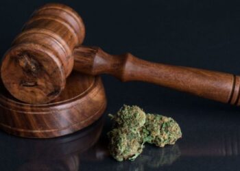 Cannabis rescheduling stalls until after Election Day