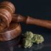Cannabis rescheduling stalls until after Election Day
