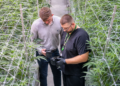 From mislabeled mulch to cameras facing a wall