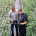 From mislabeled mulch to cameras facing a wall